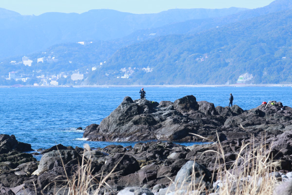 海★釣りを楽しもう!プランimage00