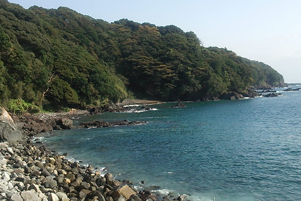 海★釣りを楽しもう!プランimage01