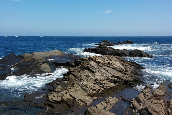 海★釣りを楽しもう!プランimage03