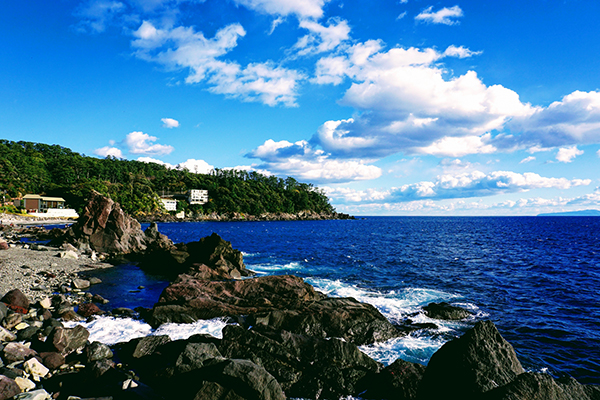 海★釣りを楽しもう!プランimage04