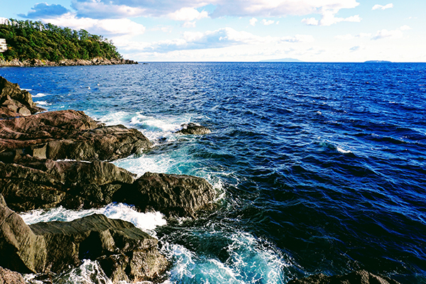 海★釣りを楽しもう!プランimage05