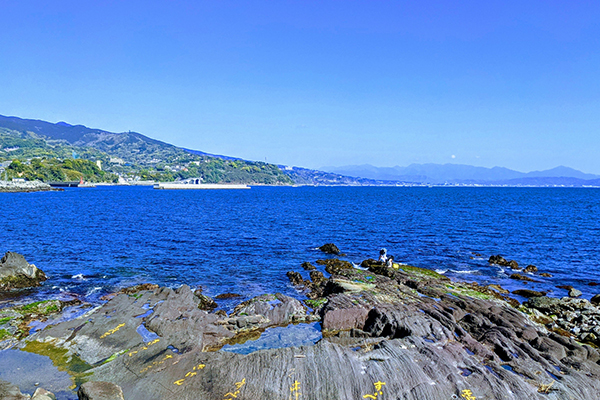 海★釣りを楽しもう!プランimage06