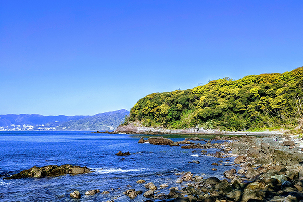 海★釣りを楽しもう!プランimage07