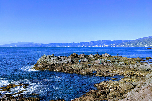 海★釣りを楽しもう!プランimage08