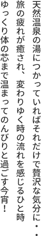 天然温泉の湯につかっていればそれだけで贅沢な気分に・・旅の疲れが癒され、変わりゆく時の流れを感じるひと時ゆっくり体の芯まで温まってのんびりと過ごす今宵！