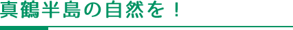 真鶴半島の自然を！