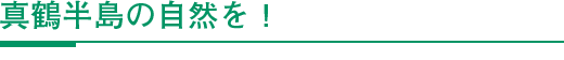 真鶴半島の自然を！