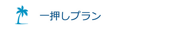 一押しプラン